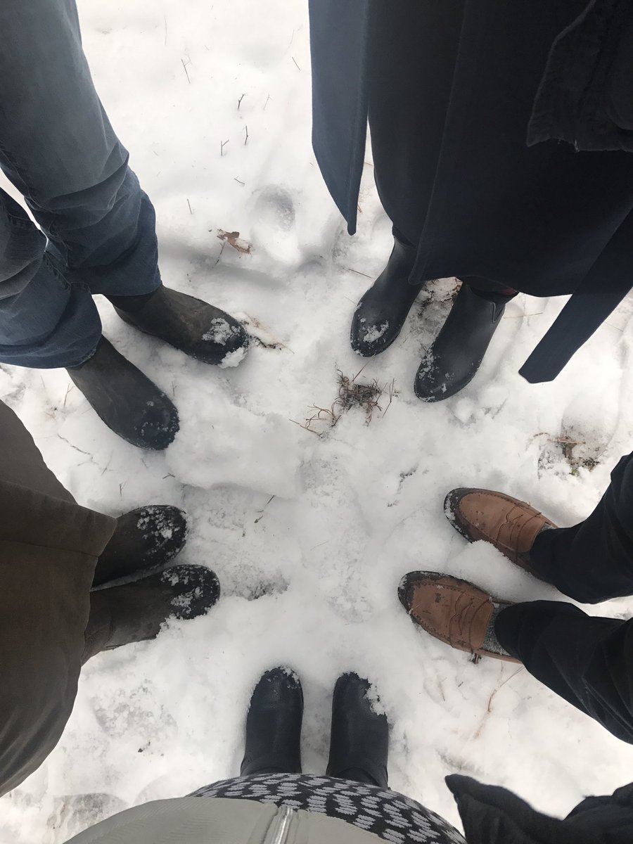 katoikeojo's tweet photo. Fall and...fall?! #notevenwinteryet #eastcoastbestcoast ? ;) https://t.co/A05wFt6Kks