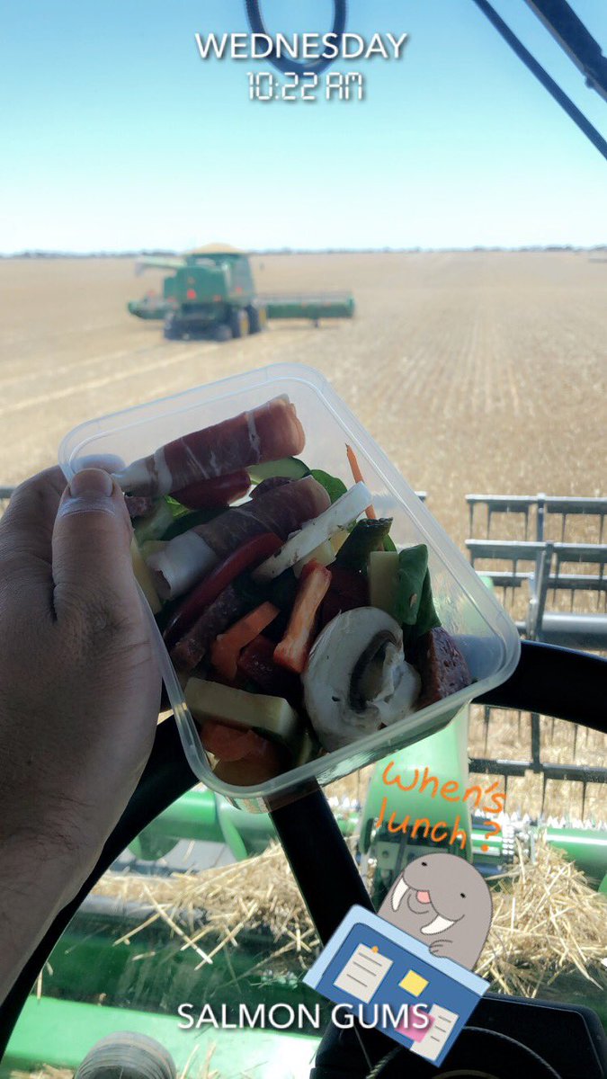 phil_honey's tweet photo. Who else loves playing the โhope I packed enough food for the dayโ game?
#lunchtime #12oclocksomewhere #harvest18 #harvestsnacks #bringfood #waitingonthechaser https://t.co/2I3WkBBO8D
