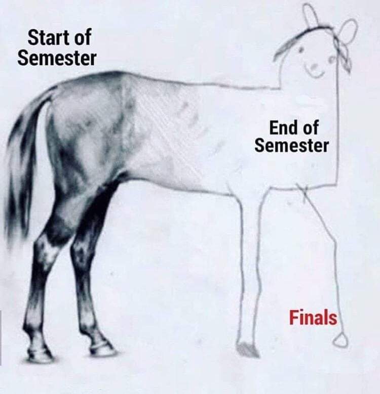 DrLeighMJohnson's tweet photo. Let's finish strong, @FromCBU! https://t.co/Qsx8Dt668k