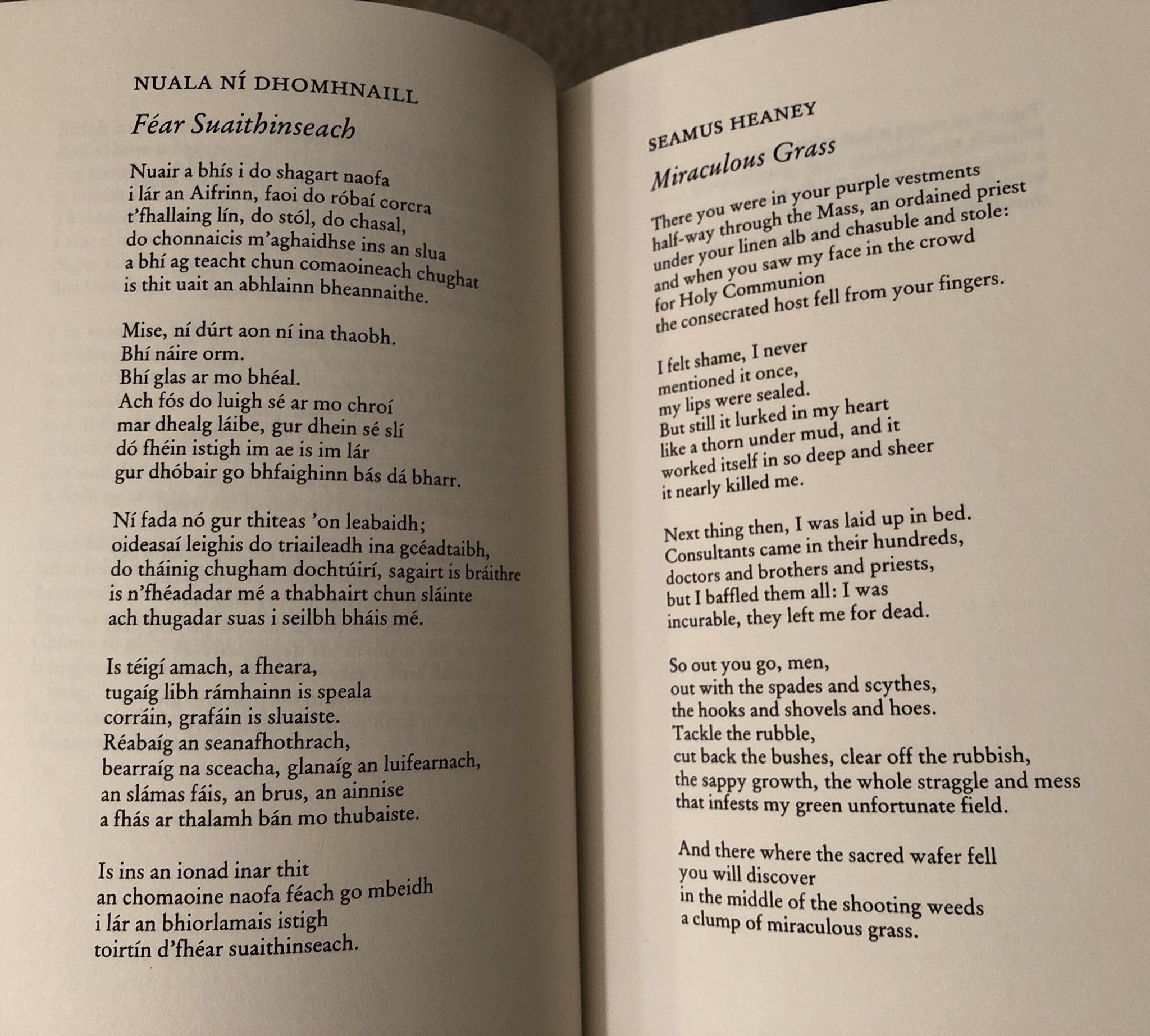 Maggie Kyle In Heaney S Translation Of Ni Dhomhnaill S Fear Suaithinseach Miraculous Grass He Preserves Most Of The Original Form But Noticeably Deviates In Enjambment In Heaney S Second Stanza For Example The