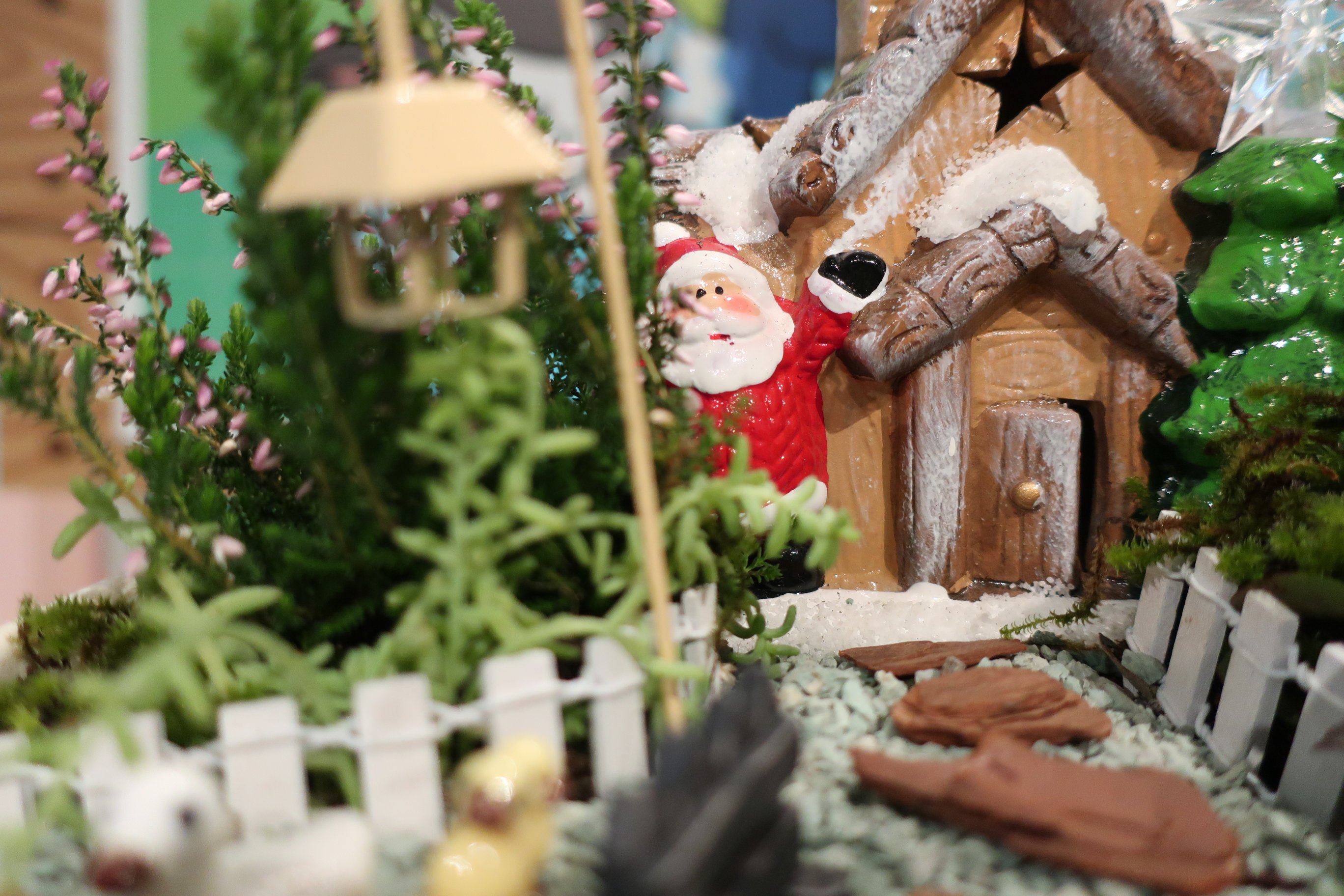 猫のひたいほどワイド on X: 