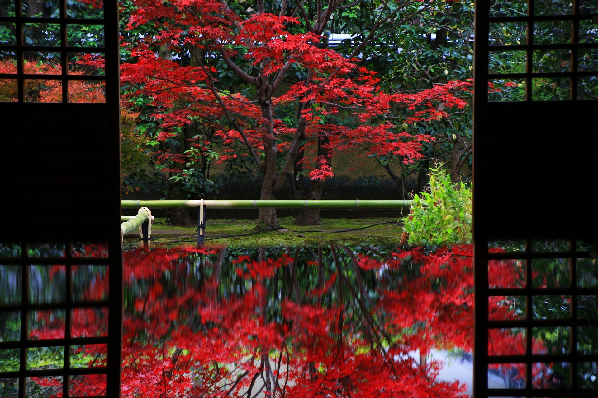 京都もよう Kyoto Moyou 京都 大徳寺 興臨院 紅葉とリフレクション みんなが良くやってるのやってみた 18 11 28撮影 興臨院 紅葉 リフレクション リフレクションのある景色 大徳寺 紅葉18 紅葉 もみじ 京都 Kyoto けしからん
