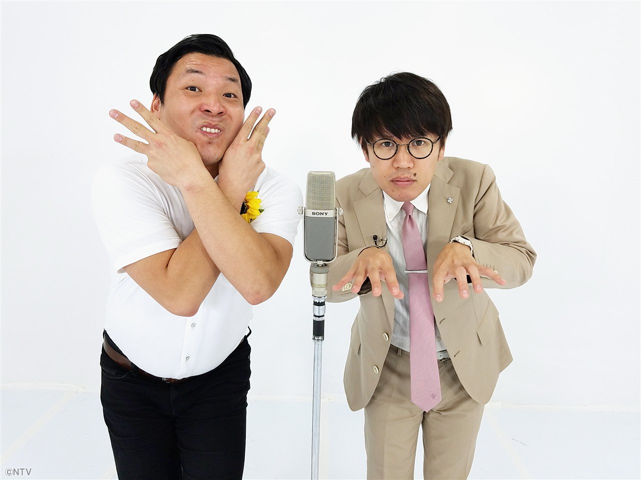 ZIP! 【公式】 on X: 