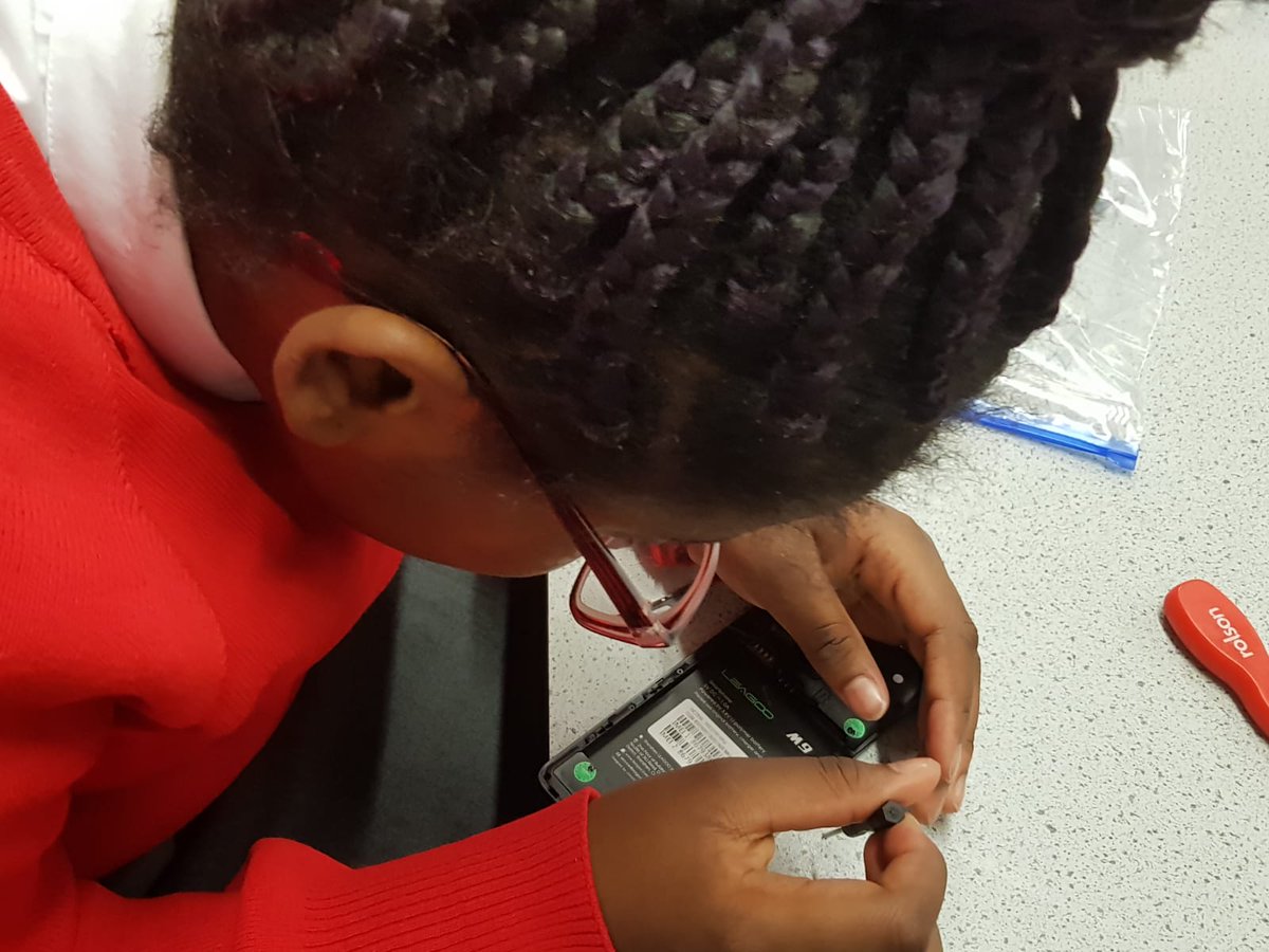 Beam County Primary School tweet media