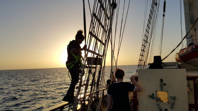 OneandAllShip's tweet photo. Get on board today⚓⚓ - https://t.co/KGivrHt6fY https://t.co/Kyt6yEsNQD