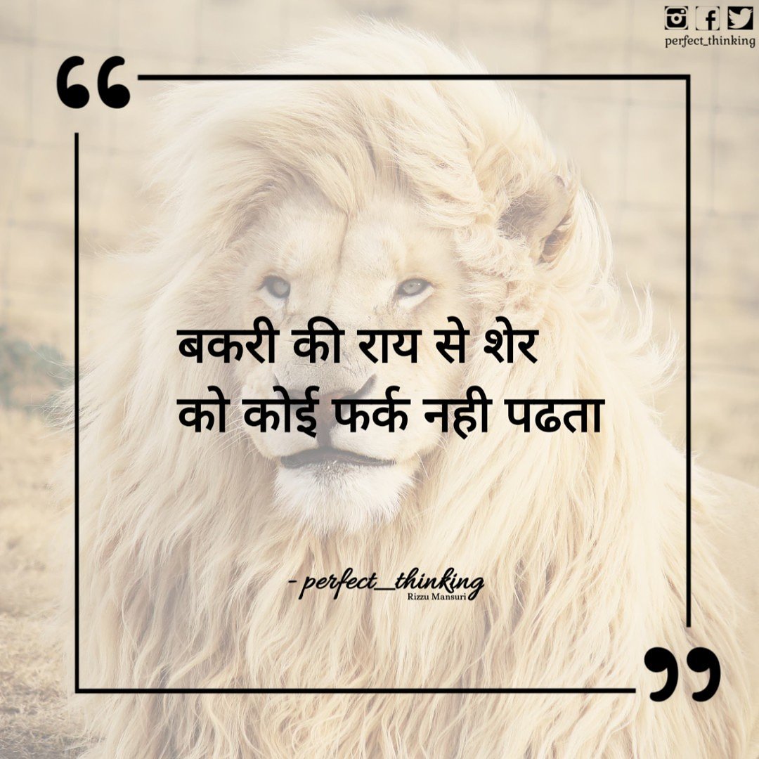perfect_rizzu's tweet photo. ╭─━━━━━──•✦•──━━━━━─╮
         @perfect_thinking
╰─━━━━━─•✦✿✦•─━━━━━─╯ https://t.co/rgCWoCFlAx