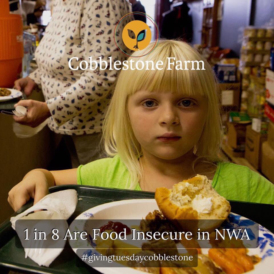 #GivingTuesday2018 thecobblestoneproject.org/donate/