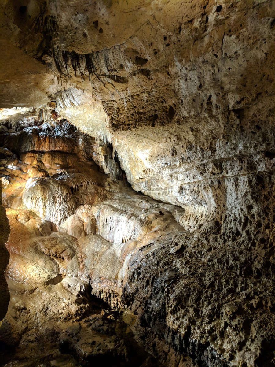 geakeylaura's tweet photo. #Museum30 #day27 #treasure 
@caveofthemounds https://t.co/NNKJZOvOqX