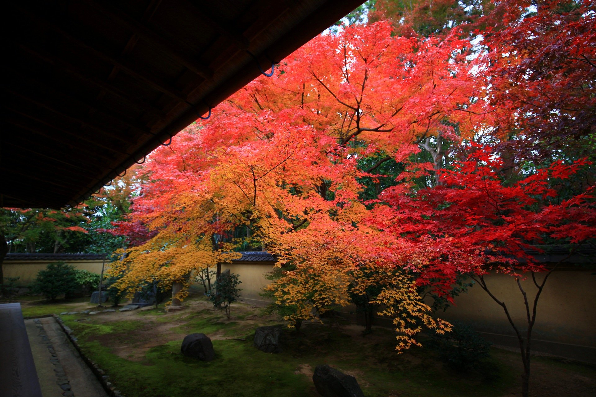 京都もよう Kyoto Moyou 京都 大徳寺 興臨院の紅葉 凄いもみじがありました 18 11 28撮影 興臨院 大徳寺 紅葉 紅葉18 紅葉まつり 紅葉が綺麗 京都の紅葉 紅葉狩り Instagramjapan Lovers Nippon Loves Nippon Team Jp Ig Japan