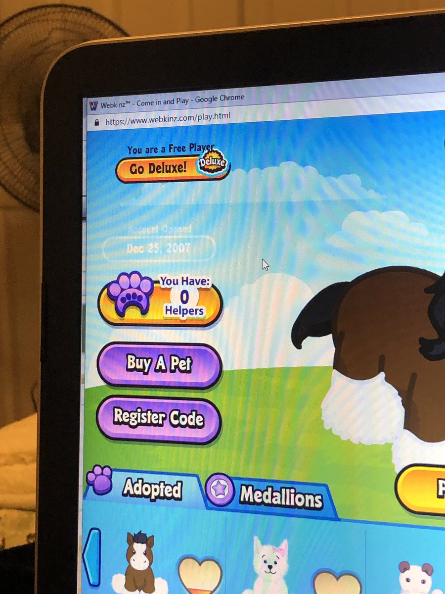 Webkinz