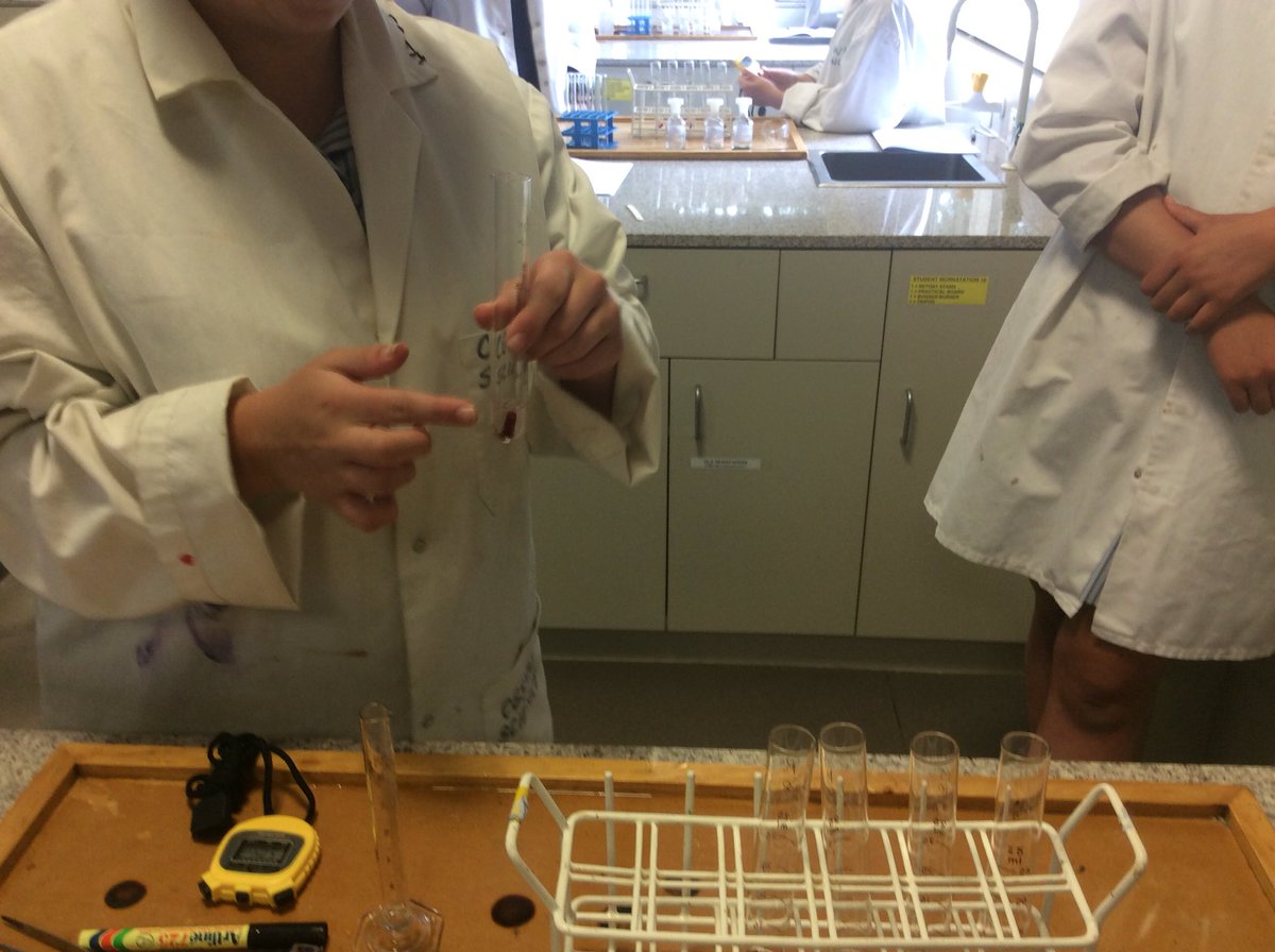 BeckRSaunders's tweet image. Effect of alcohol on plasma membranes #Year12 #Biology #transitionprogram #itworked