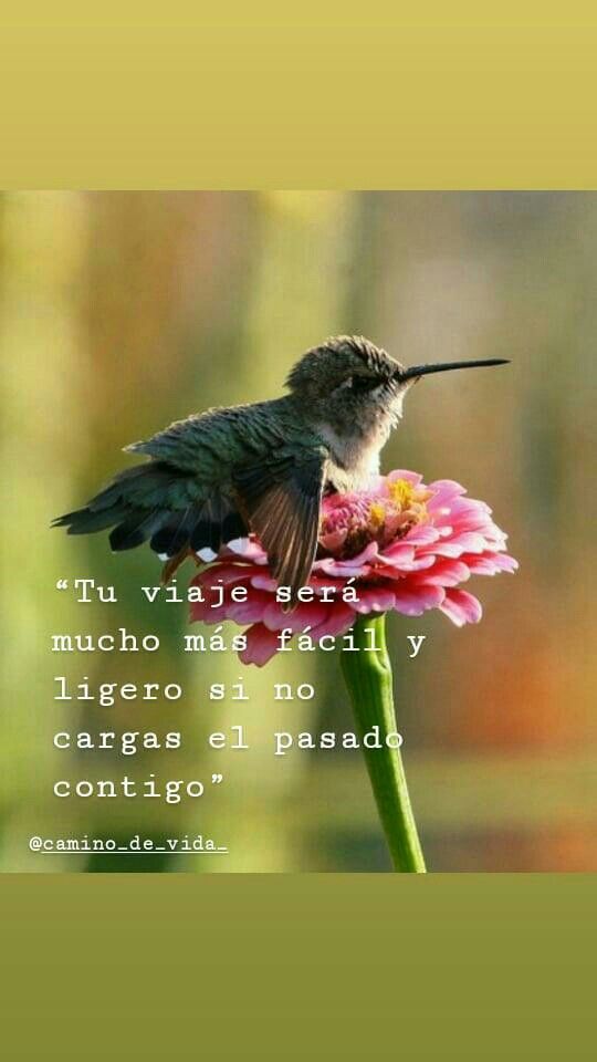 M. Jesús Sáez de Alb on Twitter: ""Tu viaje será más fácil y ligero si no  cargas contigo el pasado".… "