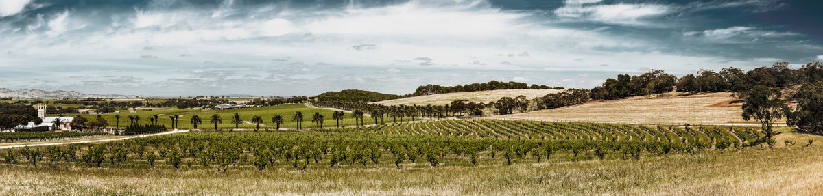 auswineinfo's tweet photo. Barossa winery @TorbreckBarossa named Australia’s Regional Exporter of the Year at the 56th National Australian Export Awards in Canberra. Adding to the success of the wine industry’s regional exports, Churchview Estate in Margaret River was also named as a finalist.
#AWI #award https://t.co/CV9tb15QU1