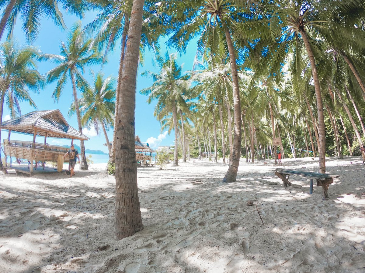 hemjaye's tweet image. Seven Commando beach is like my heaven on earth. Palm trees, coconuts, fine white sand, and crystal clear aquamarine water 😍 📸 on a #GoProHERO7 #GoPro #Goproph