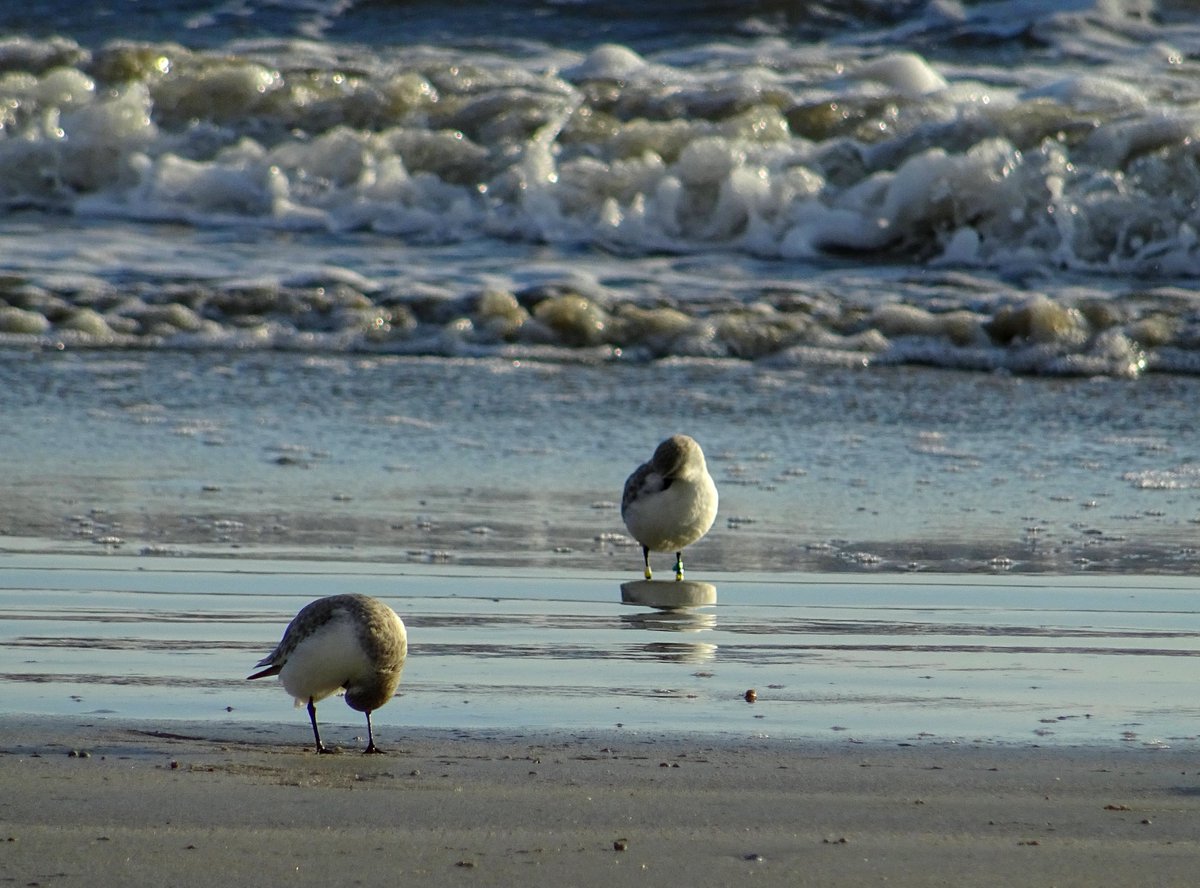 JefQuem's tweet image. #MagnifiqueBretagne #Larmor