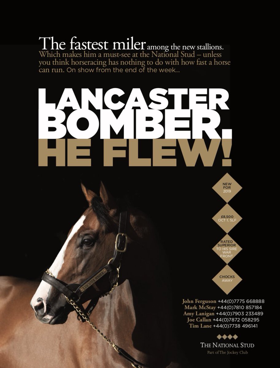 Who’s the fastest miler retiring to stud in 2019???  #LancasterBomber #Newfor2019 #G1winner #LimitedBreedingRightsAvailable #topclassracehorse #topclasspedigree #topclasslooks #ticksalltheboxes #wonorplacedinsevenG1s