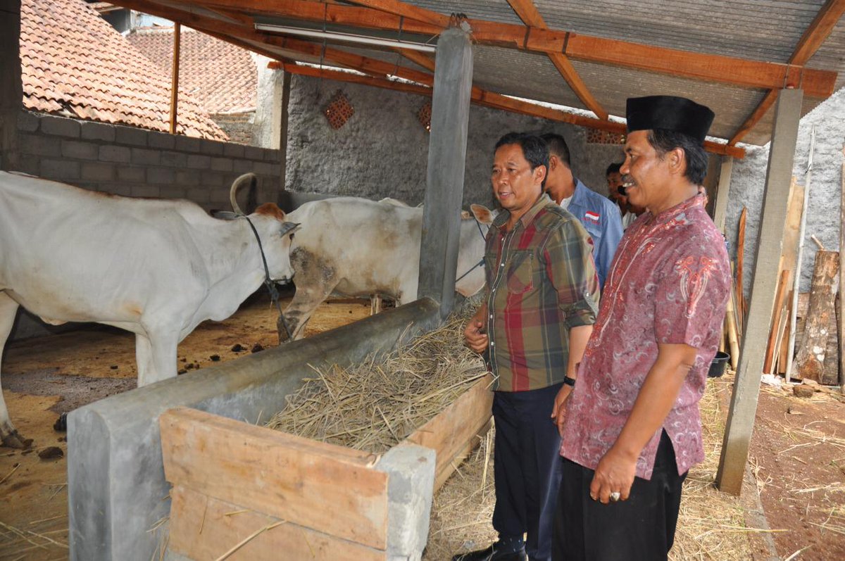 Menyanpaikan Bantuan ternak sapi kepada masyarakat atas aspirasi dari Bapak Drs. Fadholi anggota DPR RI Komisi IV di beberapa daerah di DAPIL JATENG I 
<a href="/NasDem/">Partai NasDem</a> <a href="/iskandar_moh/">MOH.ISKANDAR</a> <a href="/JatengPos/">Jateng Pos</a> <a href="/jokowi/">Joko Widodo</a> <a href="/ganjarpranowo/">Ganjar Pranowo</a> <a href="/NasdemJTG/">nasdem jateng</a> <a href="/SuaraPembaruan/">Suara Pembaruan</a> <a href="/suaramerdeka/">SuaraMerdeka.com</a> <a href="/KabarNasDem/">Kabar NasDem</a> 
#Fadholikendal