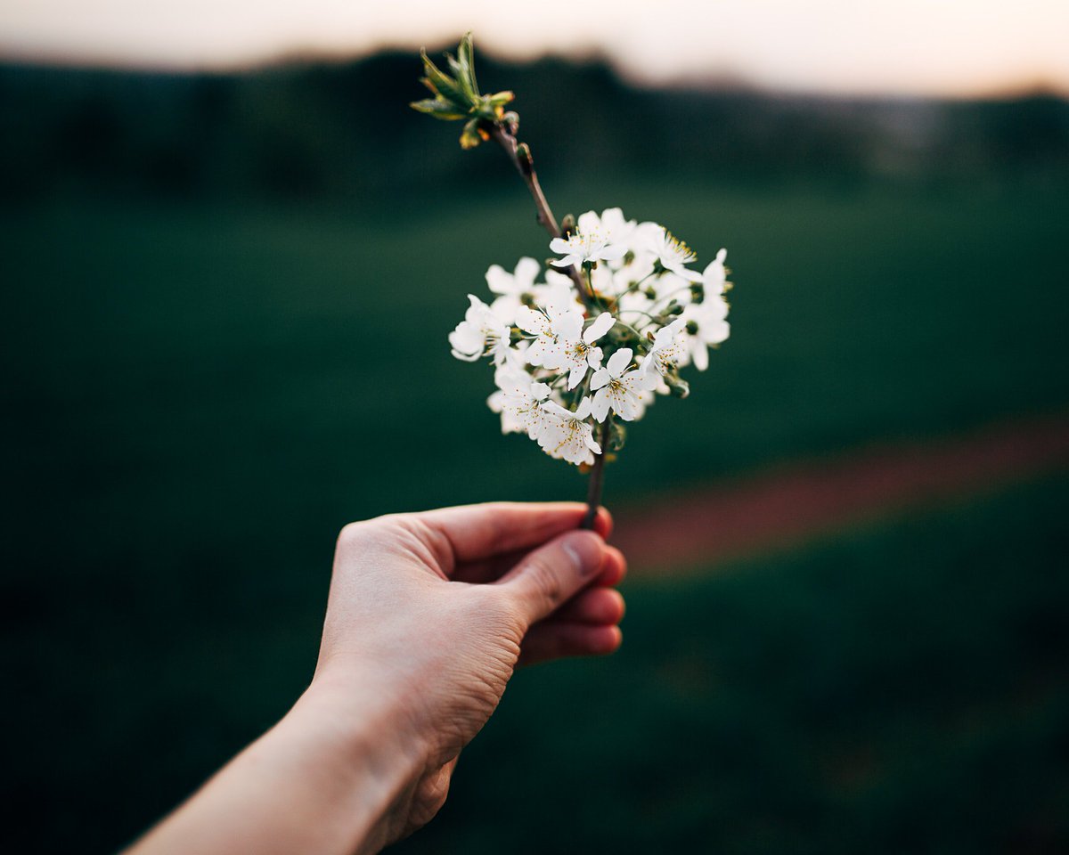Den bevidste forbruger tænker verdensmål og cirkulære forretningsmodeller ind i strategiplanerne. Download vores E-magasin ‘Vækst med omtanke #2: Den bevidste virksomhed’, og bliv inspireret til at sikre verdens fremtidige økonomi: …cular.innovationlab.dk.pages.services/circular-2/?ts… 
#circulareconomy