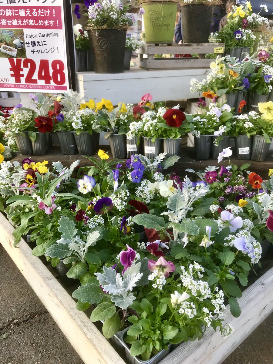 ジョイフル本田 ガーデンセンター A Twitter 守谷店ガーデンセンター オススメ寄せ植えパック好評販売中です ビオラなど季節のお花が入った4株ポットです 寄せ植え ガーデニング 園芸