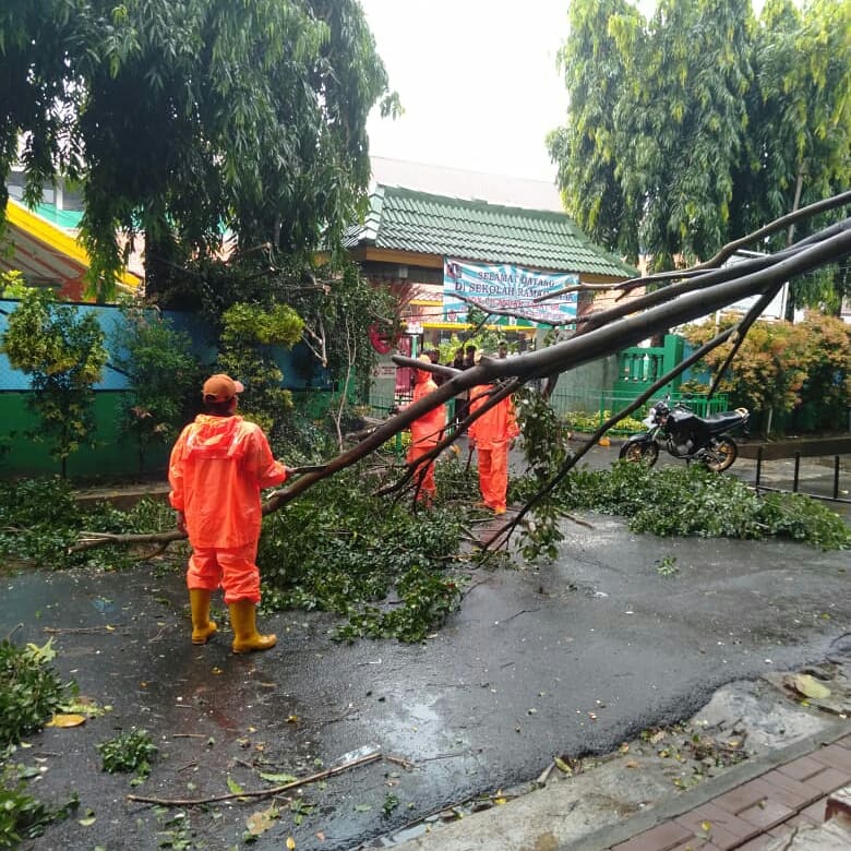 Kelurahan Pondok Labu tweet media