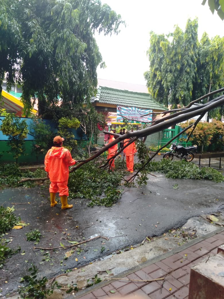 Kelurahan Pondok Labu tweet media