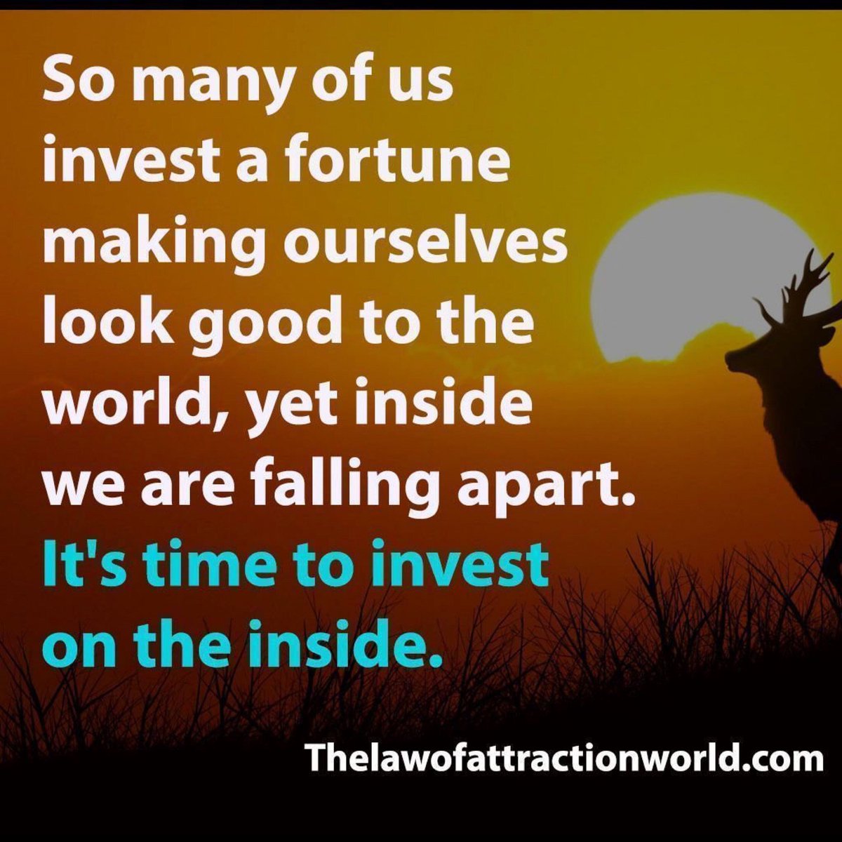 fengshuilotus's tweet photo. Invest On Yourself!

#crystals #yinyang #aromatherapy #zodiac #horoscope #tarot #mystic #holistic #pendulums #numerology #universe #newmoon #charka #dreamcatcher #fengshui #zen https://t.co/WwKQmLxKU4