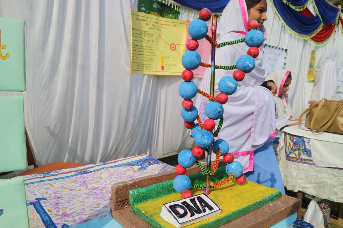 TareenEducation's tweet photo. The complexity of human anatomy explained by our little scientists! Join us today at Lodhranβs biggest #science fair and experience the marvels of science.
@ZarrarKhuhro @MathsSciencePK @bigbytespk
#LodhranScienceFair #STEAM https://t.co/WBvxa4zJ3q
