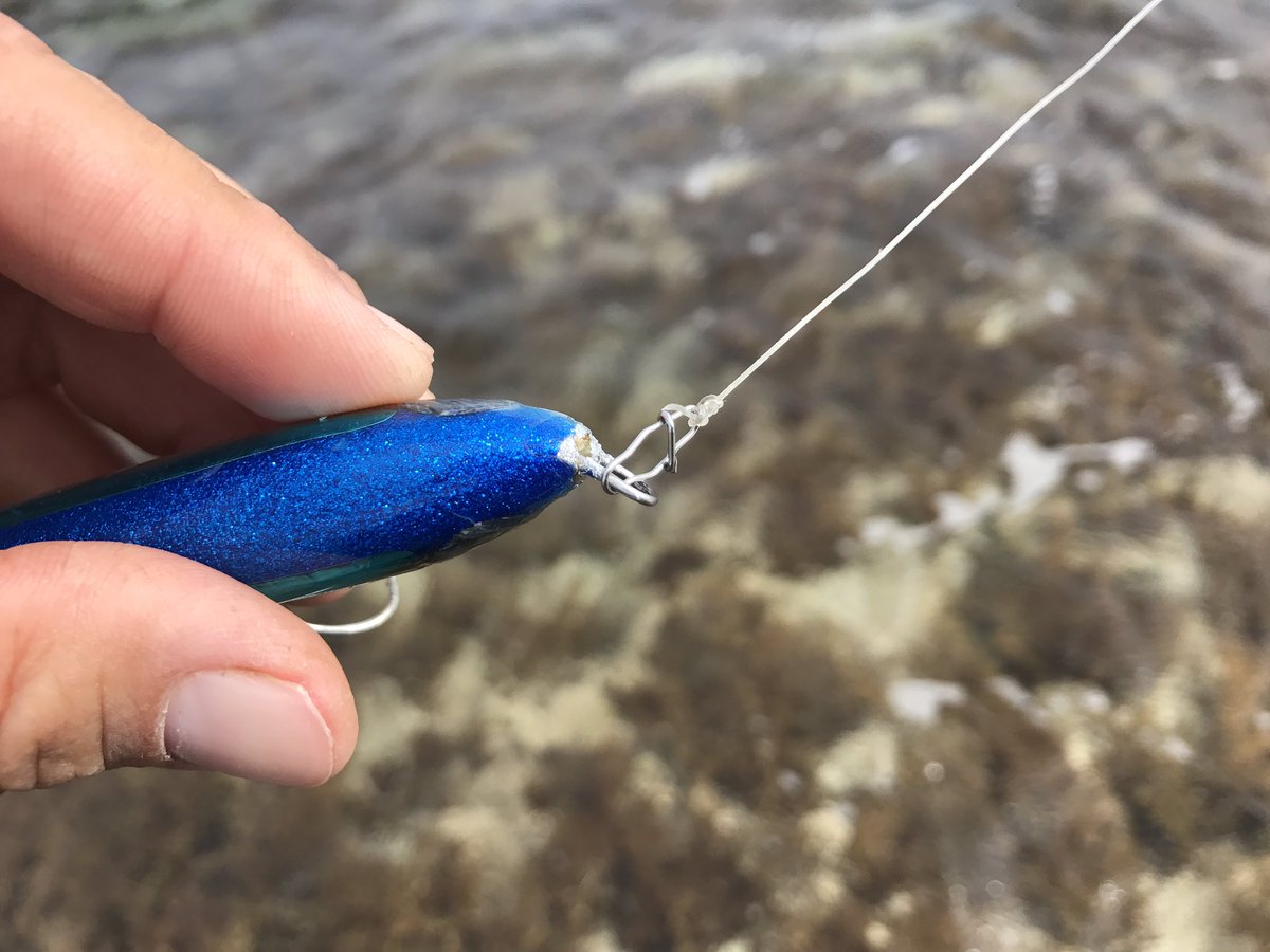 ヒロ カスミ狙いの交通事故 10キロ程のgtを掛けるも ロッドは冒険用品さんのjetsetter86cプロト 掛けたgtを止めて 寄せようとした所この有様だ スナップはダイワのエギングスナップ これも強い Atoll フラックフライ110 もぅ餌だ T Co