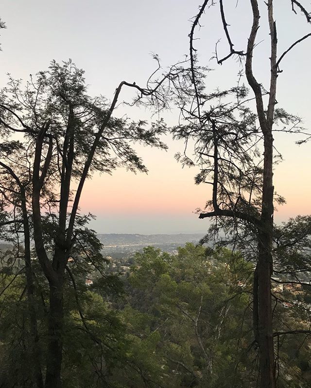 JoyInEurope's tweet photo. Through fires, smoke, and heat. Love my hometown. Love my home state. Will never get tired of views like this. .
.
.
#la #sunset #california #losangeles #view #griffith #hike #observatory #hiking #pastel #nature #nofilter https://t.co/uh6coefaBM https://t.co/BC3NBLcYQ6