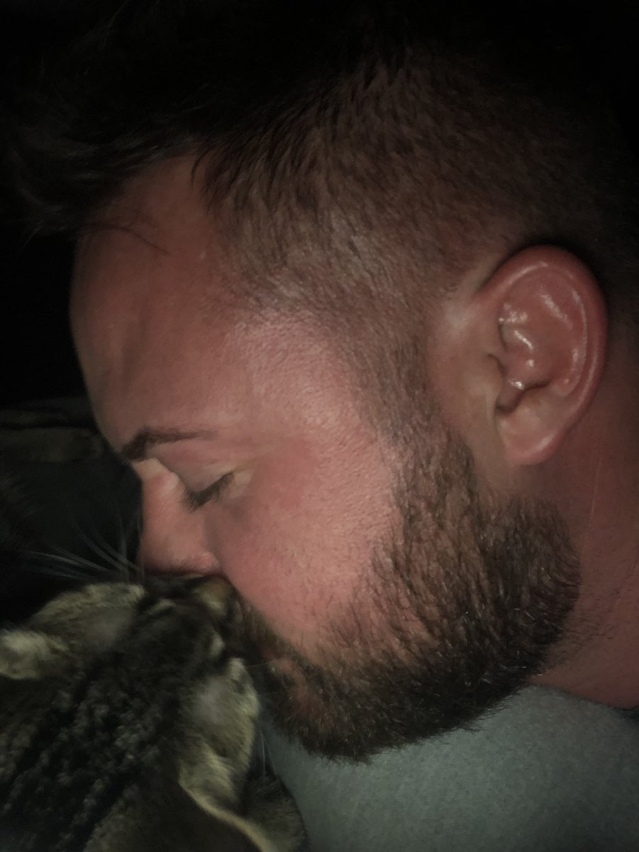 spudstud07's tweet image. My kitten is always here for me! #DJ2