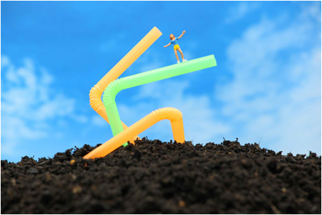 agarwalrohhit's tweet photo. Be the Solution to Soil Pollution campaign for World Soil Day 2018 (December 05) @FAO  #StopSoilPollution .Small changes in our habits will have very positive effects on pollution prevention and minimisation. https://t.co/LbiAbOt8P8