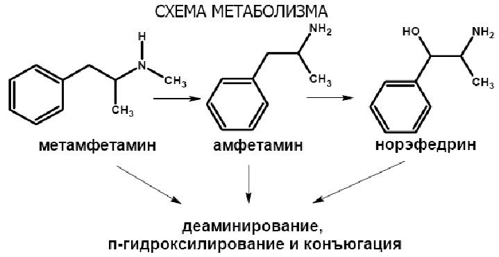 наркотик схема наркотик схема