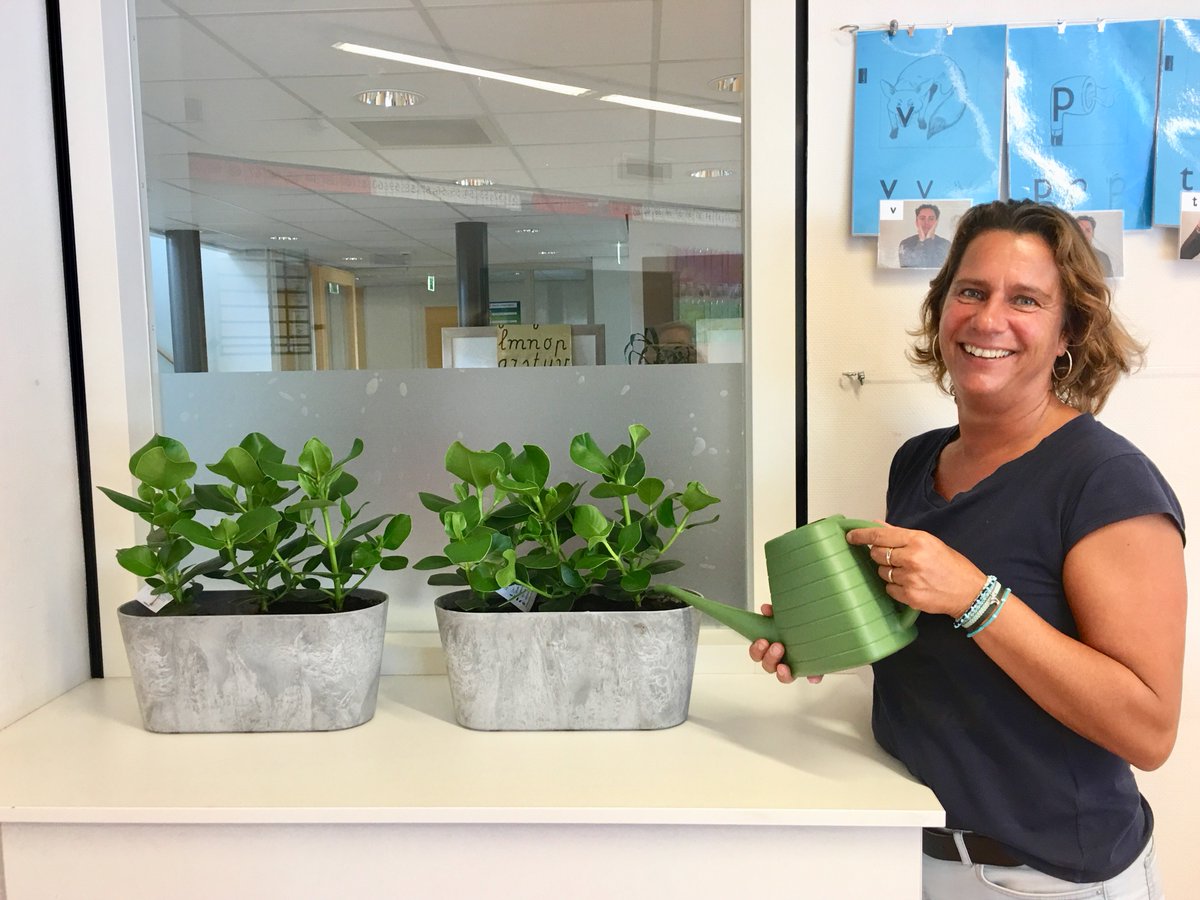 Pilot Plant in de Klas zeer positief geëvalueerd! Download nu het handboek en lees over de positieve effecten van planten in de klas: royalfloraholland.com/nl/over-florah… #sierteelt #De Groene Agenda #planten in de klas #onderwijs