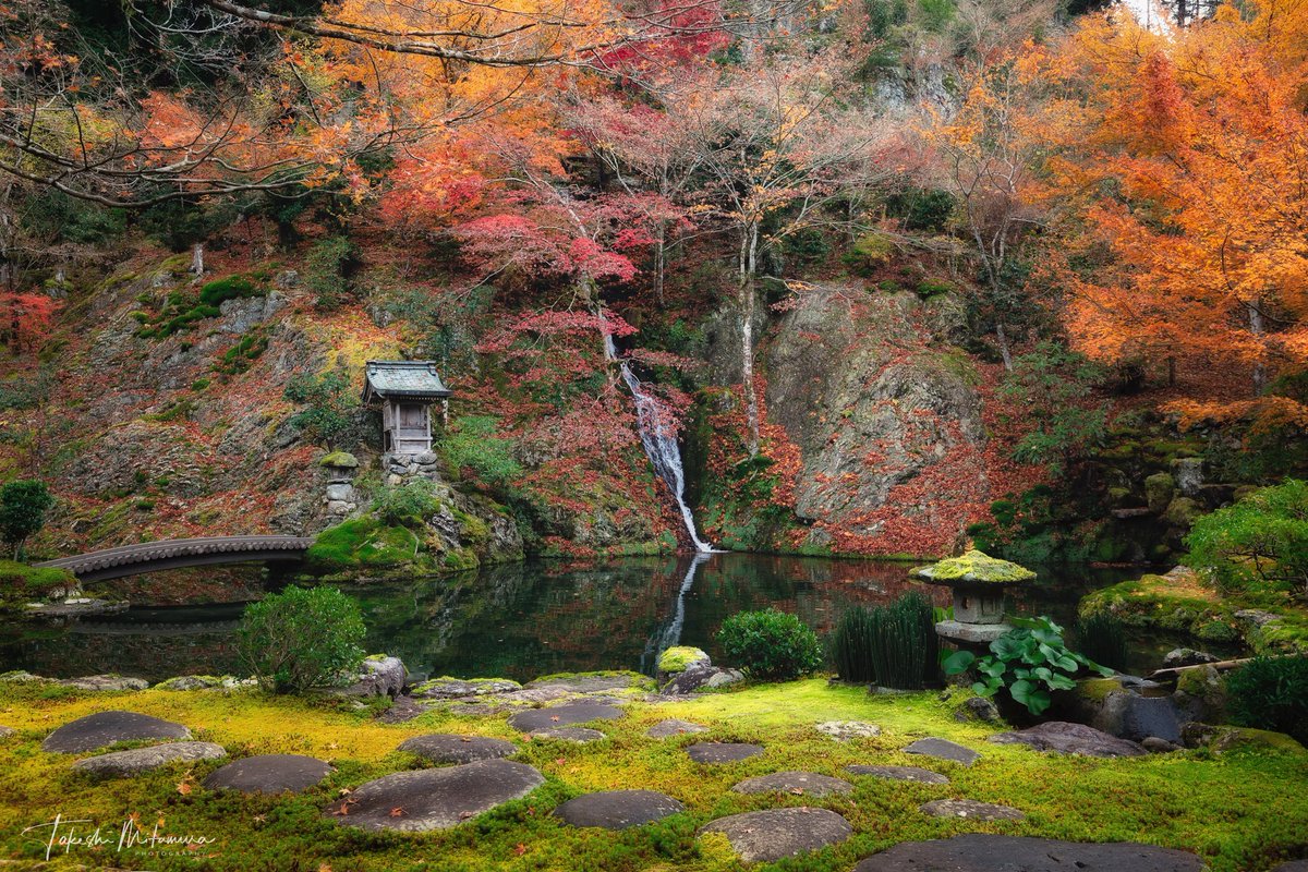 武 Takeshi Mitamura Team Gifu Pa Twitter 岐阜の穴場スポット慈恩禅寺 拝観料ケチって昔は入らなかったんだけど 一度訪れた今では紅葉のリーサルウェポンだと思ってる 慈恩禅寺 郡上八幡 岐阜 紅葉 日本庭園 庭園 東京カメラ部 Pashadelic 武 Takeshi Mitamura Team Gifu Pa Twitter 岐阜の穴場スポット慈恩禅寺 拝観料ケチって昔は入らなかったんだけど 一度訪れた今では紅葉のリーサルウェポンだと思ってる 慈恩禅寺 郡上八幡 岐阜 紅葉 日本庭園 庭園 東京カメラ部 Pashadelic