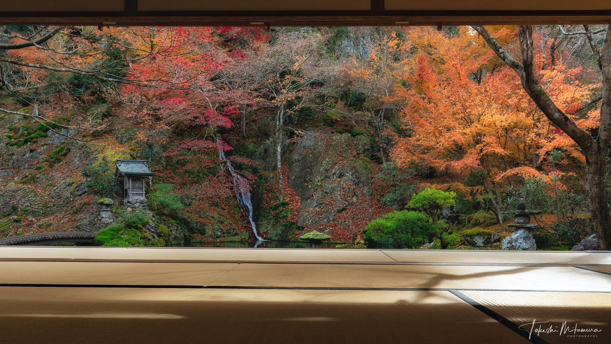 武 Takeshi Mitamura Team Gifu Pa Twitter 岐阜の穴場スポット慈恩禅寺 拝観料ケチって昔は入らなかったんだけど 一度訪れた今では紅葉のリーサルウェポンだと思ってる 慈恩禅寺 郡上八幡 岐阜 紅葉 日本庭園 庭園 東京カメラ部 Pashadelic 武 Takeshi Mitamura Team Gifu Pa Twitter 岐阜の穴場スポット慈恩禅寺 拝観料ケチって昔は入らなかったんだけど 一度訪れた今では紅葉のリーサルウェポンだと思ってる 慈恩禅寺 郡上八幡 岐阜 紅葉 日本庭園 庭園 東京カメラ部 Pashadelic