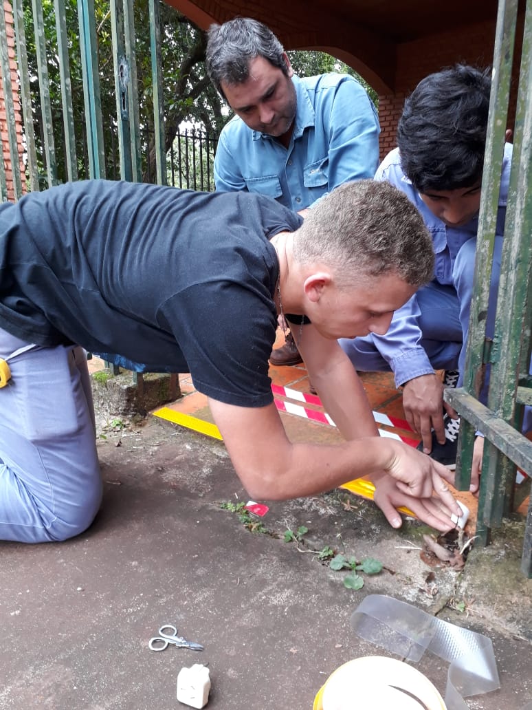 AngieBarrios578's tweet photo. Hoy temprano los alumnos de 4to Año de la #EPET23 hicieron un relevamiento de Seguridad e Higiene brindando un informe completo para mejoras a realizarse en el Asilo Divina Misericordia de su localidad. #Articulación #Solidaridad @misioneseduca @CGEMisiones @INETetp https://t.co/njwDOc1mtl