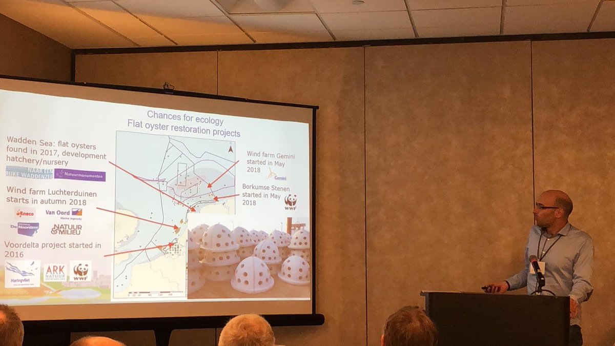 WaardenburgEco's tweet photo. Abel Giymesi presenting state-of-the-art #offshore ecological research at #NWCC workshop ‘offshore wind energy and #wildlife’ as part of the #AWWI conference in St Paul, Minnesota. Nov. 27th-30th #windpower https://t.co/hDkNnkuuHo