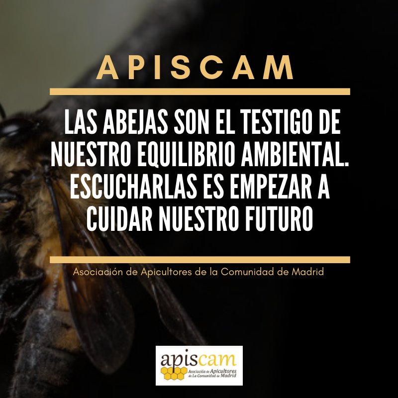 ApiscamMadrid's tweet photo. ¿Te gustaría iniciarte en el mundo de la #apicultura? ¿Eres aficionad@ y quieres formándote? En #APISCAM hay un hueco para ti 👉 https://t.co/MbobT2N8vk    

#Madrid #apicultor #abejas #emprendimiento https://t.co/iCbgPaJLPD