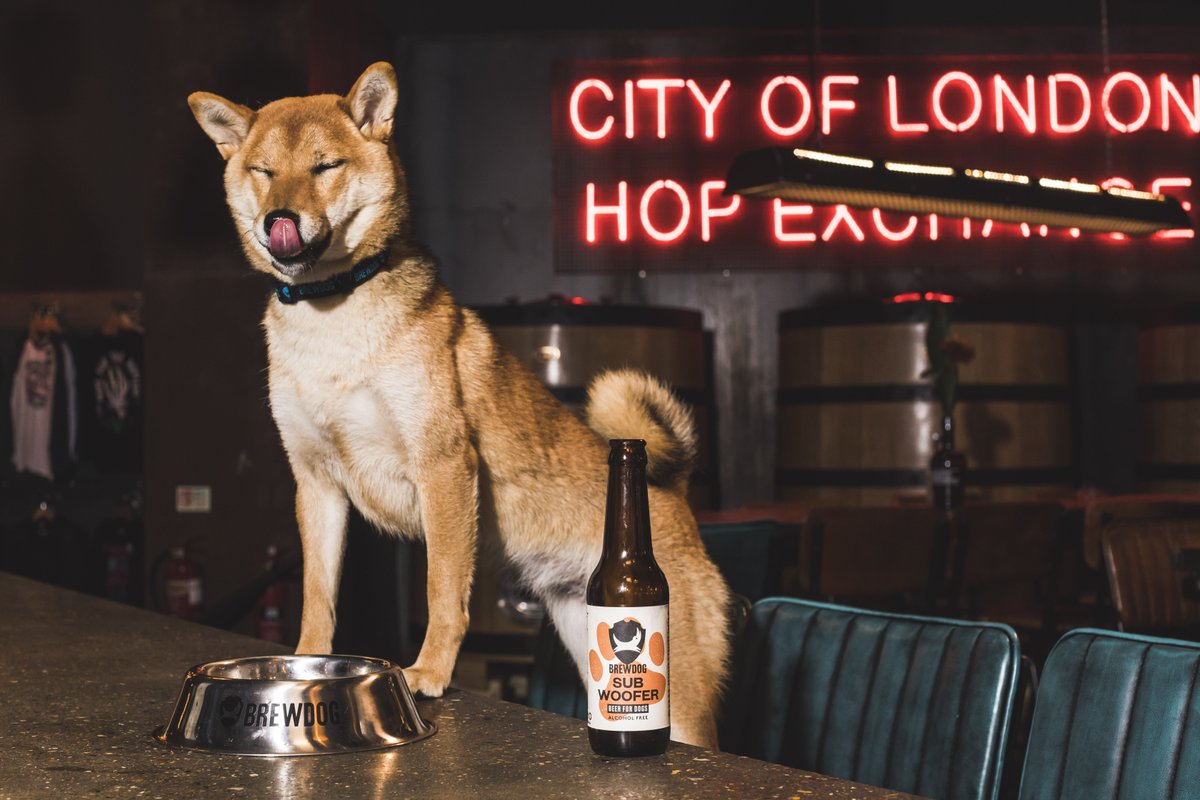 BrewDog's tweet photo. At BrewDog, we love our canine pals. So we’ve made a beer for them! 🐶🍺

You can now treat your best bud to a Subwoofer IPA.

Alcohol-free, hop-free pawesomeness.

Buy Subwoofer IPA here: https://t.co/PBWvpui5cG https://t.co/2Utr2BdwfS