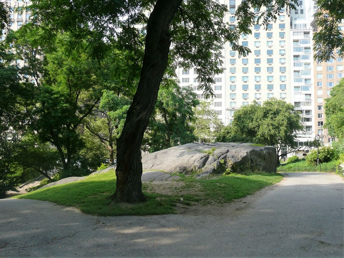 JanetteHall's tweet photo. Central Park
#centralpark #centralparknyc #newyorkcity #newyork #nyc #ny #nycs #newyorknewyork #newyorkstateofmind #newyorklife #nyobsession @nycfeelings @NYCDailyPics @I_LOVE_NY @NBCNewYork #ThePhotoHour @CentralParkNYC @NYC #america #bigapple #manhatten #usa https://t.co/sgLADM39Fe