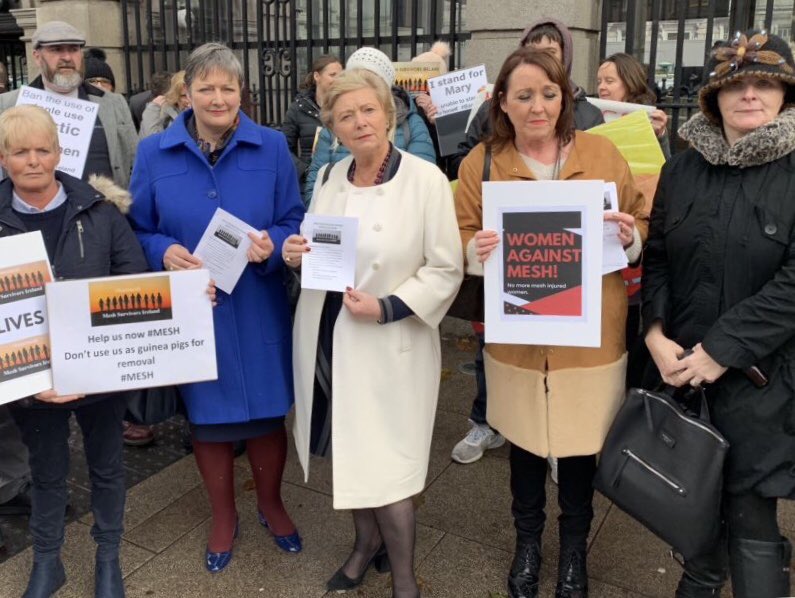 Glad to meet the @meshsurvivorire at Leinster House today with @FitzgeraldFrncs. Pledged to continue to work with them. #MESHINJURY