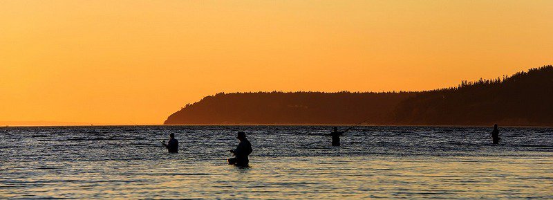 SenatoStampa's tweet photo. #Pesca e #turismo alieutico sportivo-ricreativo. In Commissione Agricoltura, audizioni informali di rappresentanti di #Agrinsieme, #Coldiretti, #UNCI Agroalimentare e #UECOOP → https://t.co/WgEdol5wir https://t.co/RRuQehwFtg