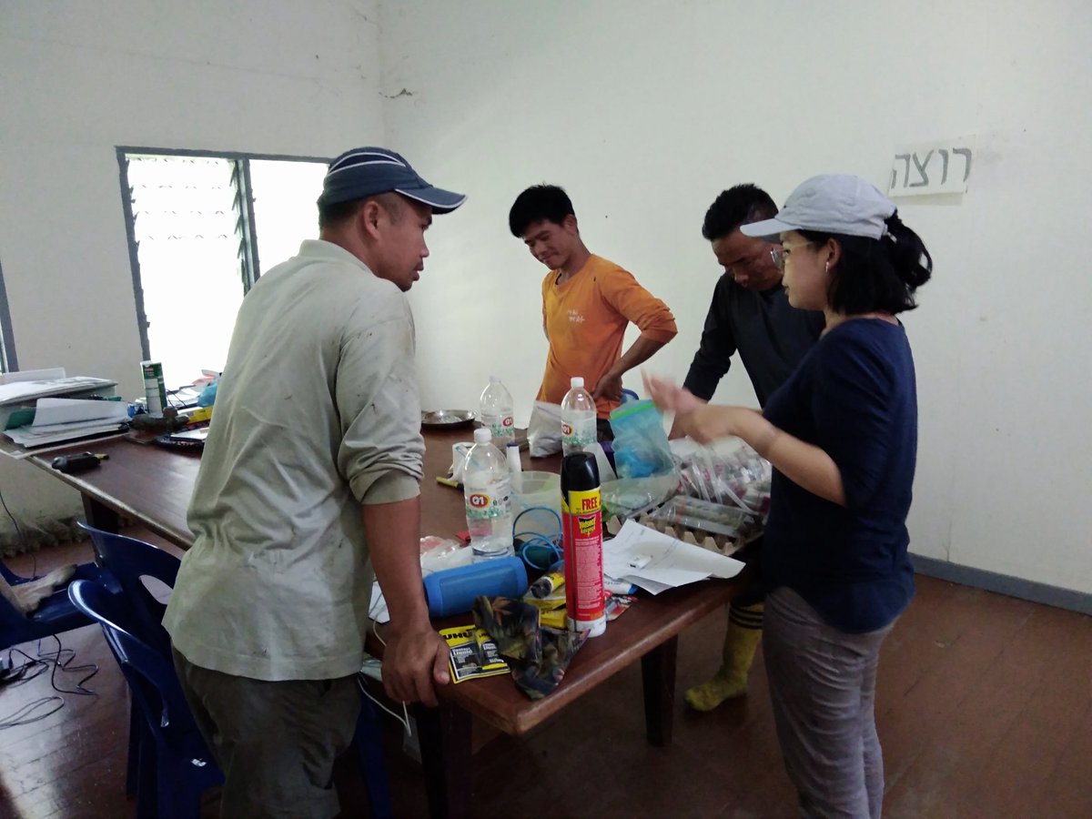 UNDPproject's tweet image. Fieldwork is complete! #dungbeetle &amp;amp; #ecosystemfunctioning sampling is complete across our land use gradient in Sabah! Massive kudos to @UMS_EcoCampus student @Liyuen93 and her research assistants on 3 years of hard work! Now for some analysis!