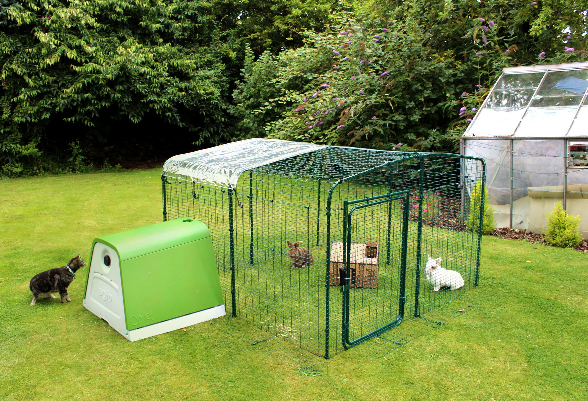 Omlet Uk On Twitter Give Your Pets More Space To Roam Around Your Garden In Safety With Our Outdoor Pet Runs Now With 20 Off In The Omlet Christmas Sale Perfect For Chickens Cats Rabbits And Guinea Pigs Urbanchickens Https T Co 8f4zz5lu2h