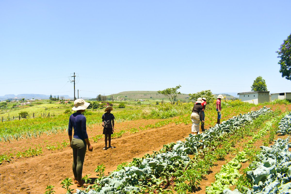 #workingwomanwednesday 
#youngandhappy #farming #agriculture 😉👩‍🌾