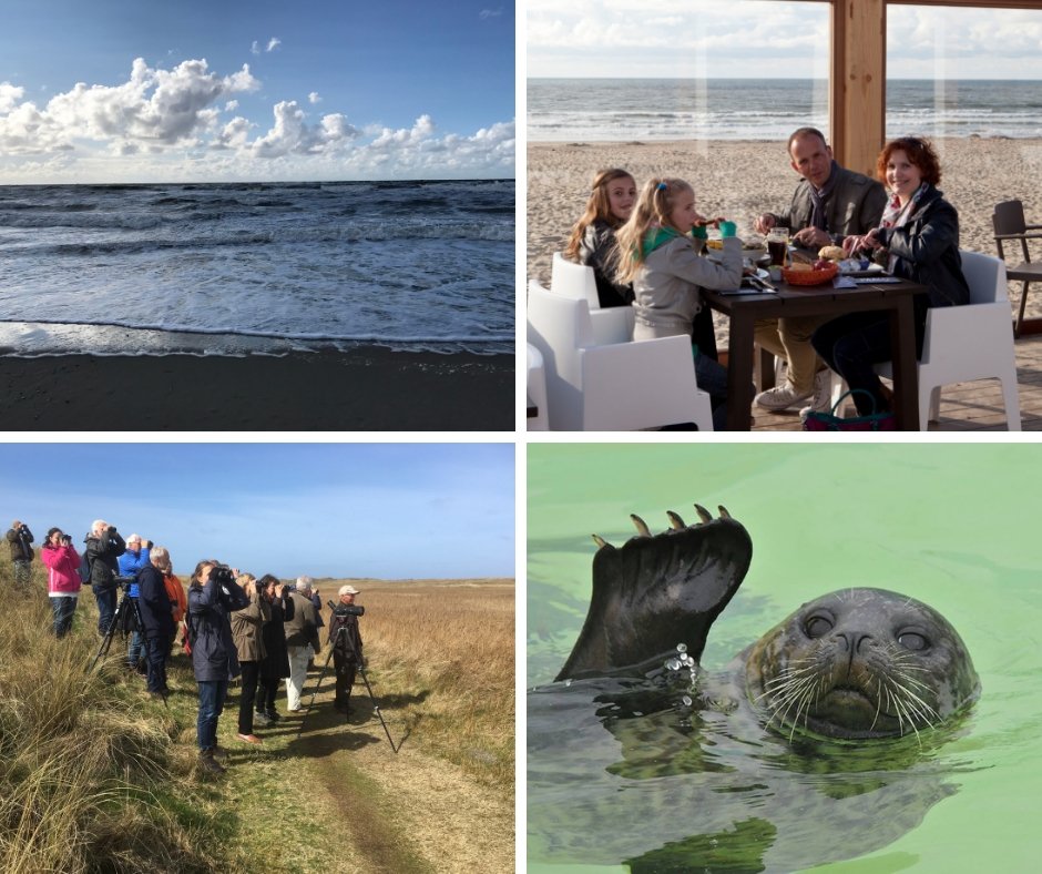 VVVTexel's tweet image. Wat doe jij het liefst op #Texel in de #winter? Laat het ons weten in de #reacties!