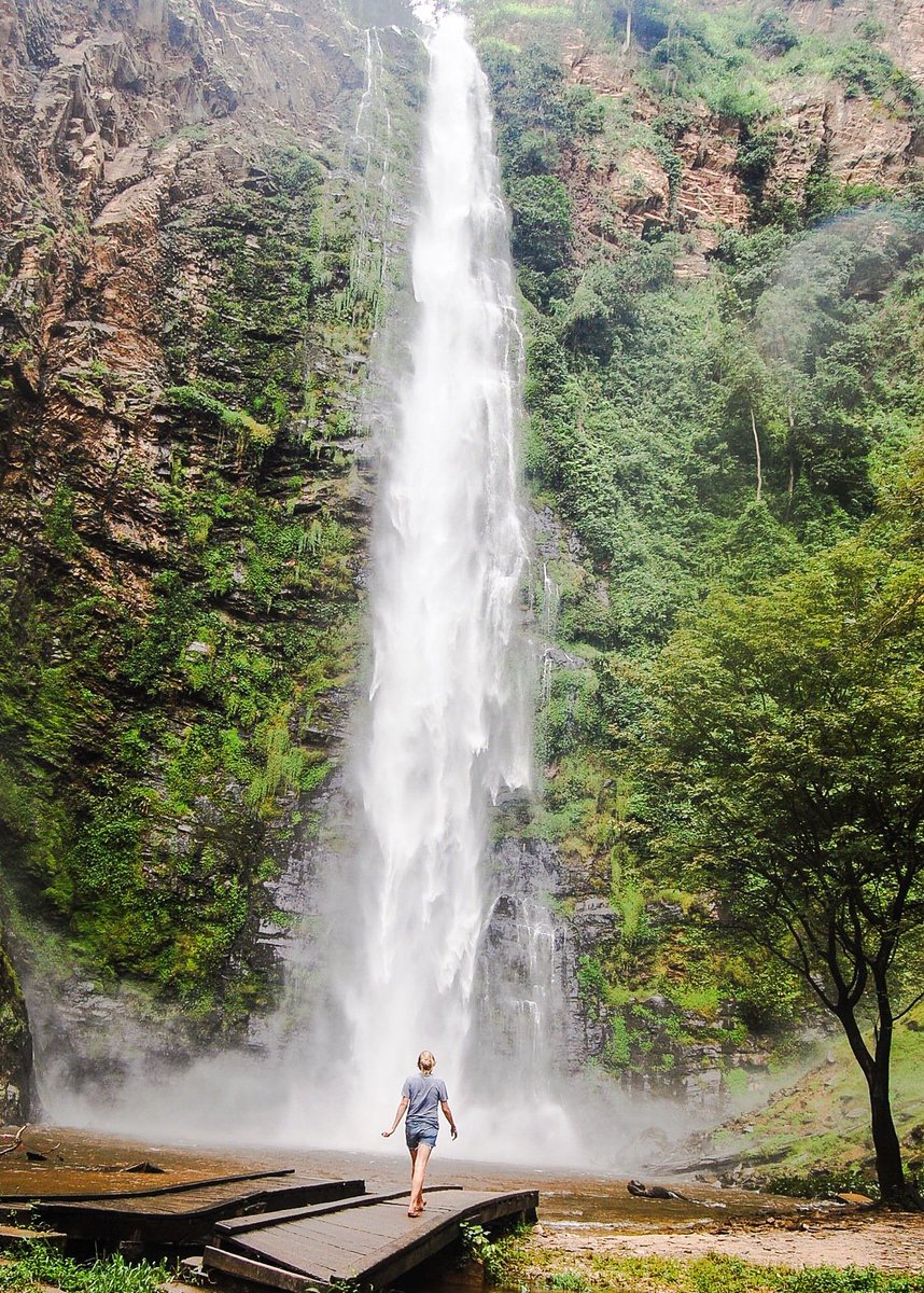 ghanarecords's tweet photo. #Highestwaterfall in Ghana.
Wli Waterfalls is the highest waterfall in Ghana and also the tallest in West Africa. It has a lower and an upper fall. It has a height of about 80meters and it is Located in the Volta Region of Ghana #Ghanarcords #Ghanabookofrecords #waterfalls https://t.co/nZwVDJuaZy