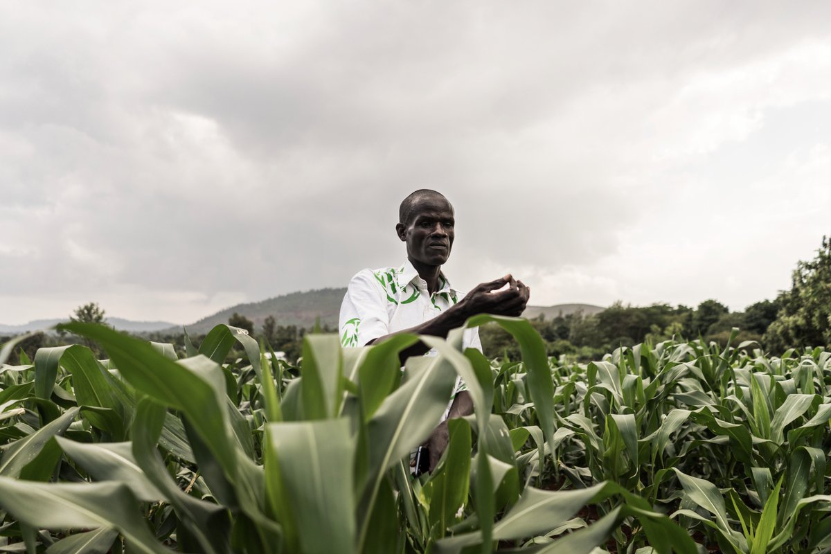 Global Utveckling tweet media