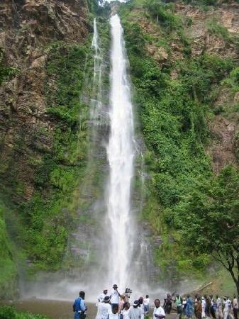 ghanarecords's tweet photo. #Highestwaterfall in Ghana.
Wli Waterfalls is the highest waterfall in Ghana and also the tallest in West Africa. It has a lower and an upper fall. It has a height of about 80meters and it is Located in the Volta Region of Ghana #Ghanarcords #Ghanabookofrecords #waterfalls https://t.co/nZwVDJuaZy