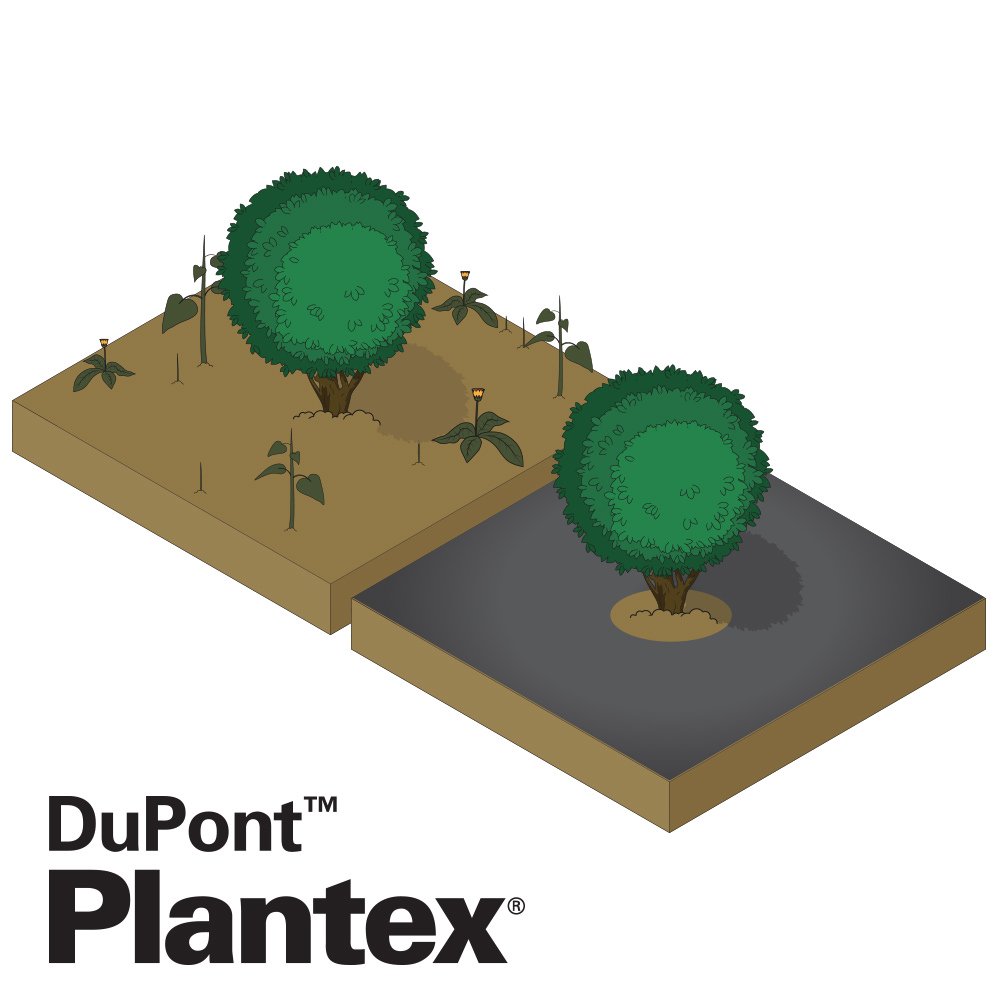 TechnicalCivils's tweet photo. TCS provide the full range of DuPont Plantex weed barriers. A chemical free landscaping solution for weed control. .
#weedcontrol #landscaping #japaneseknotweed https://t.co/WlV9Y1oCmQ